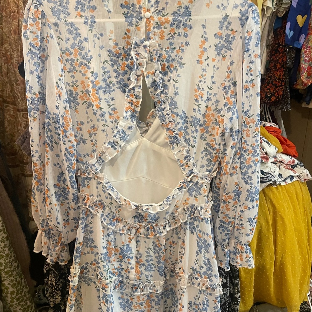 Floral Long Sleeve Dress - Picture 4 of 5